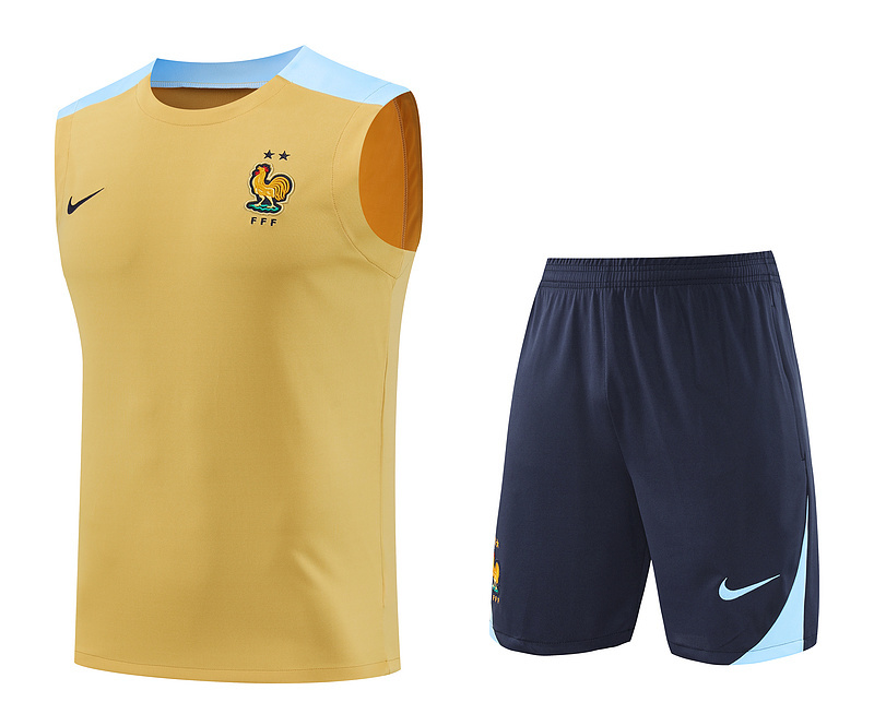 2024 France Training Soccer Vest Yupoo