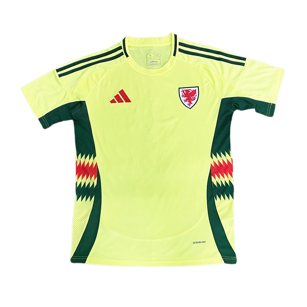 Wales 2024/25 Euro Away Jersey