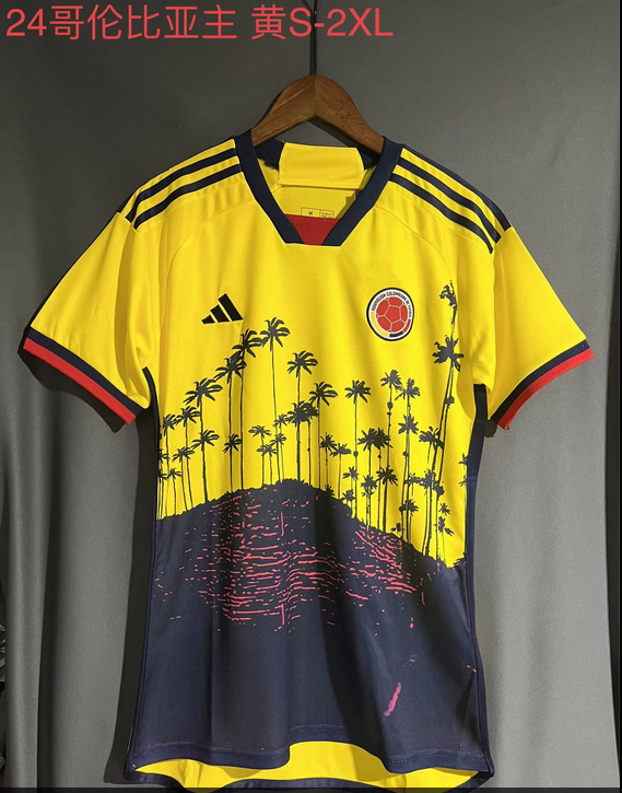 2024 Colombia Training Soccer Jerseys Yupoo