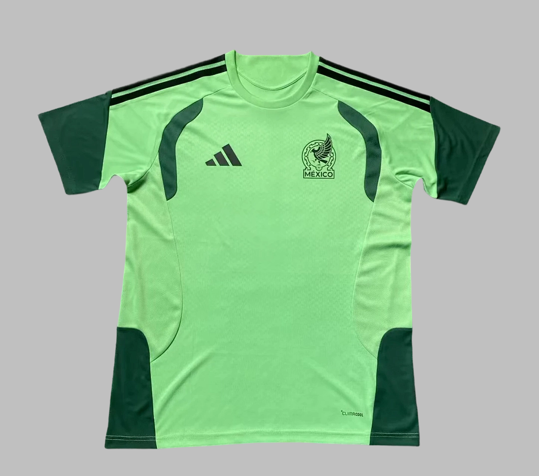 2026 Mexico Player Version Cheap Soccer Jerseys Yupoo