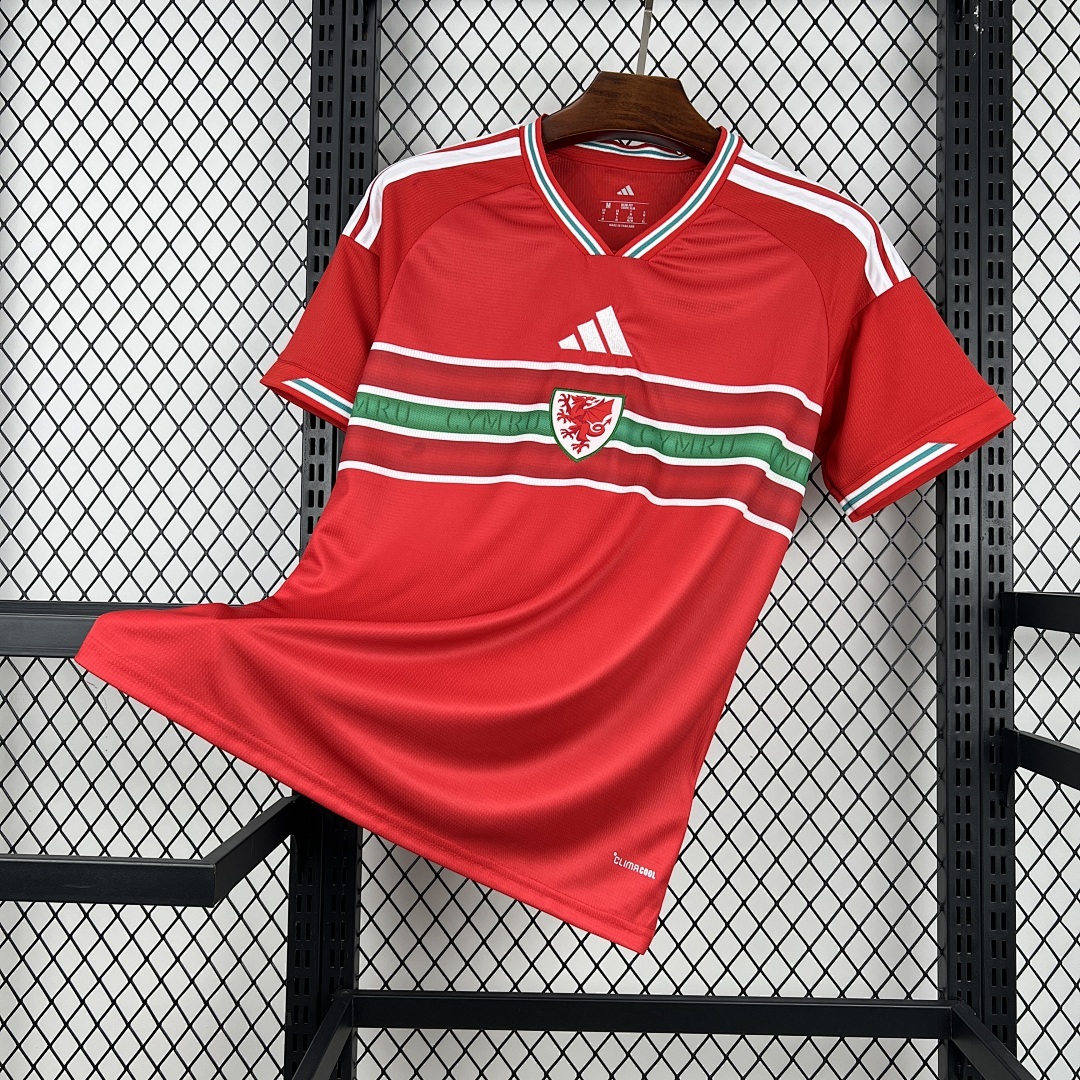 Mens Wales 2026 World Cup Home Jersey