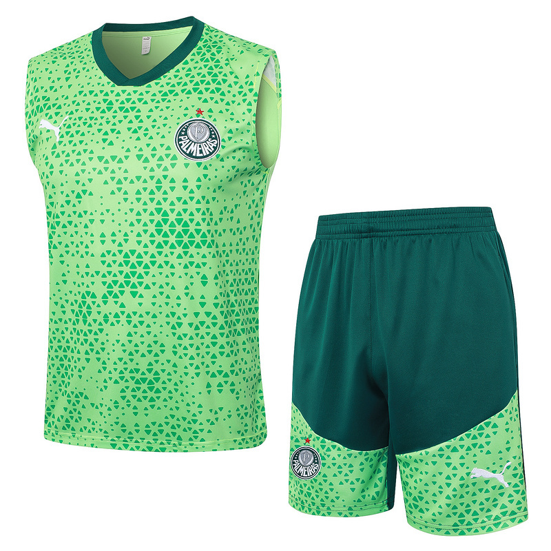 24-25 Palmeiras Soccer Vest Yupoo