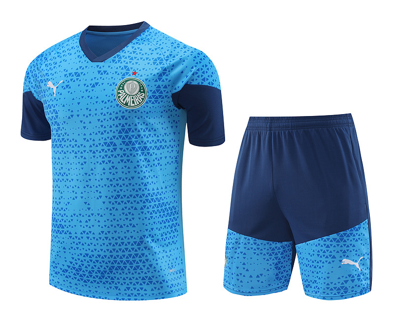 24-25 Palmeiras Training Soccer Jerseys Yupoo