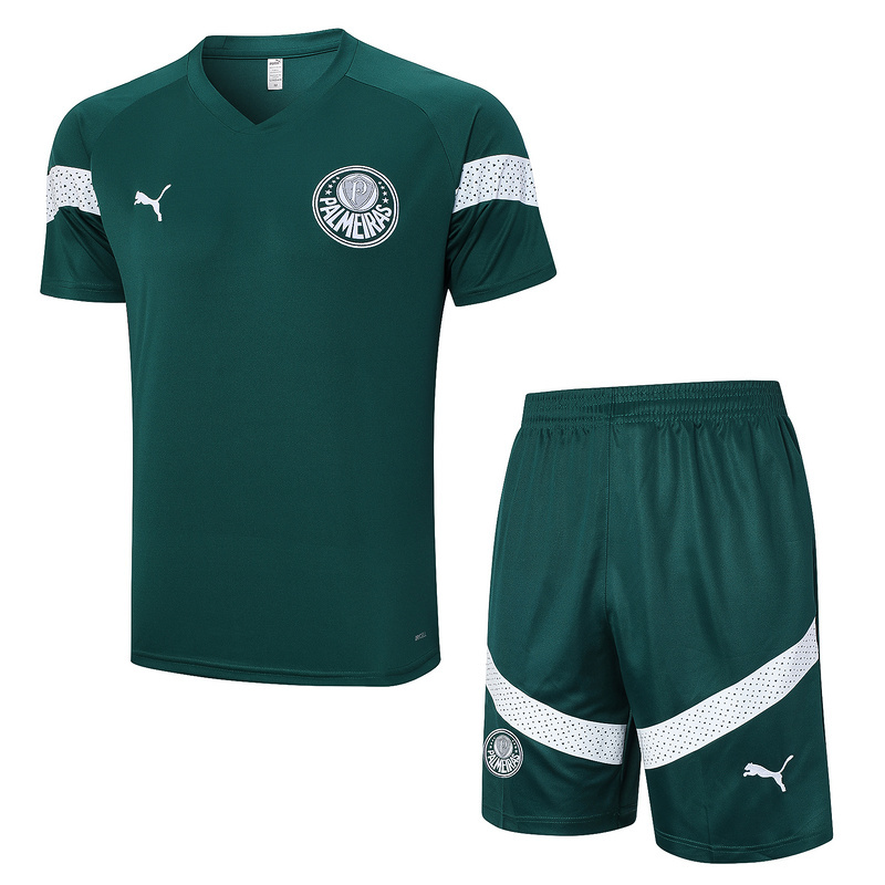 23-24 Palmeiras Training Soccer Jerseys Yupoo