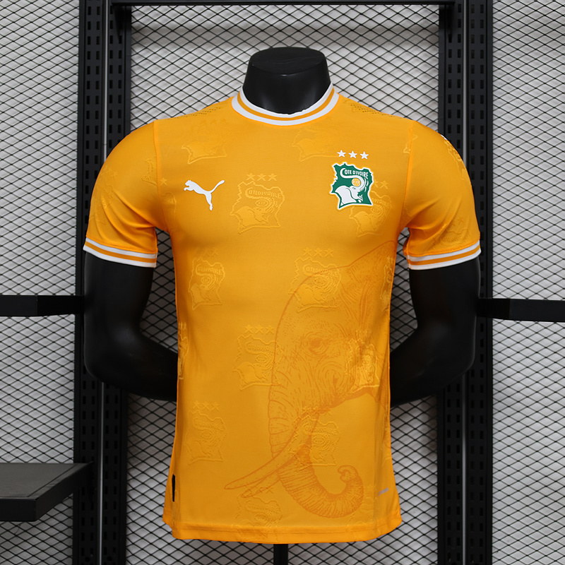 2024 Cote d Ivoire Special Player Version Soccer Jerseys Yupoo