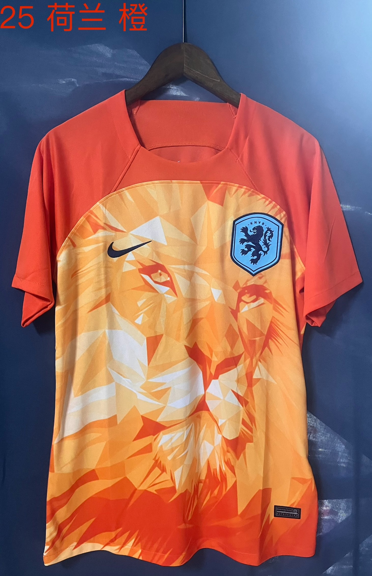 24-25 Netherlands Training Soccer Jerseys Yupoo