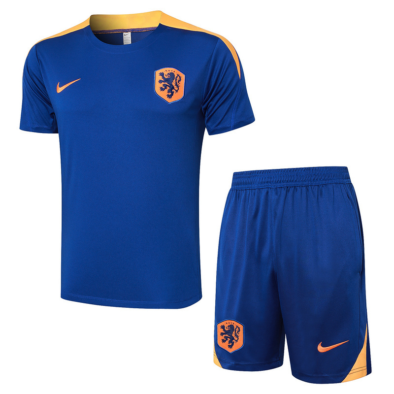 2024 Netherlands Training Soccer Jerseys Yupoo