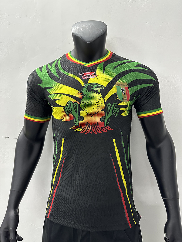 2023 Mali Third Player Version Soccer Jerseys Yupoo