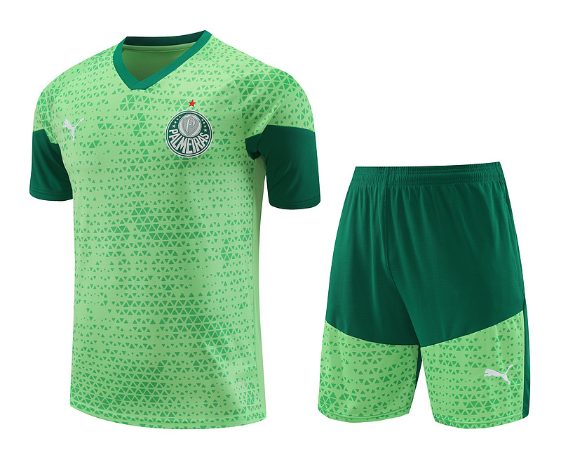 24-25 Palmeiras Training Soccer Jerseys Yupoo