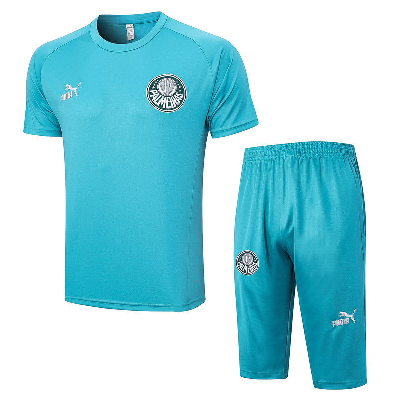 23-24 Palmeiras Short Sleeve Training Suit Yupoo