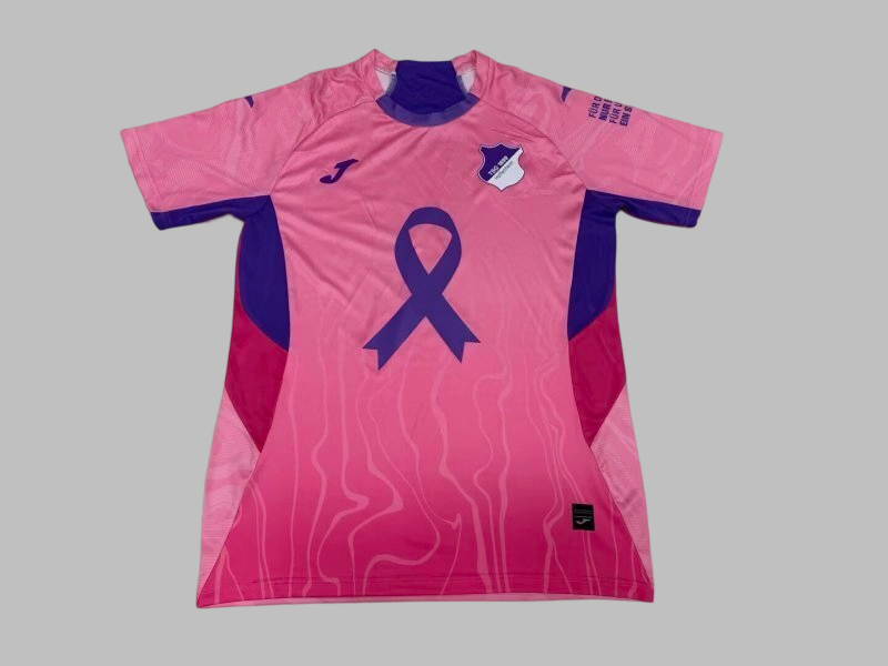 25-26 Hoffenheim Special Cheap Soccer Jerseys Yupoo