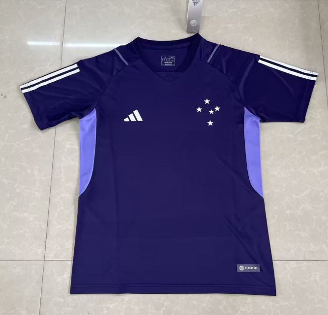 23-24 Cruzeiro Training Soccer Jerseys Yupoo