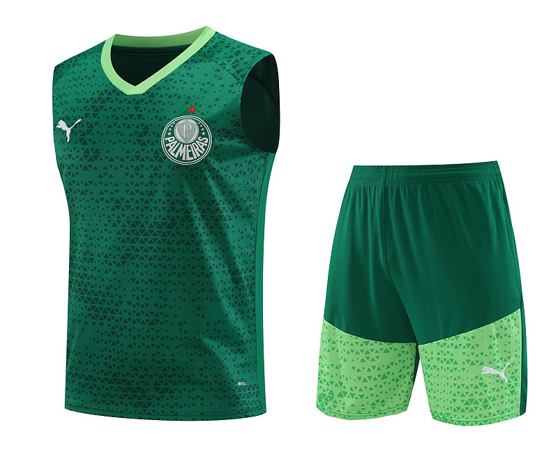 24-25 Palmeiras Soccer Vest Yupoo