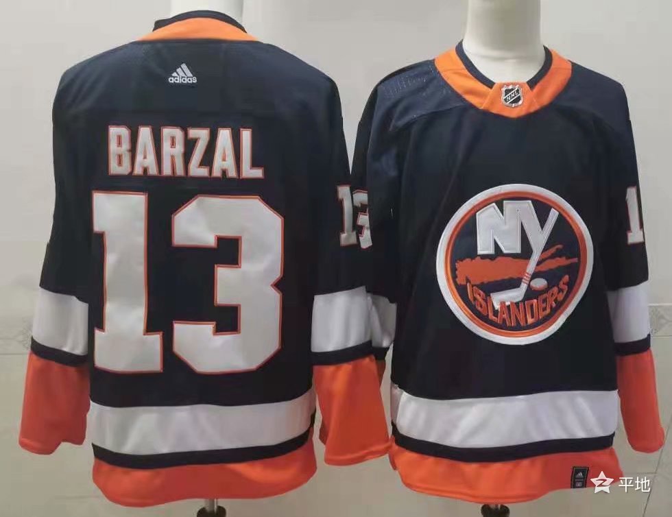 New York Islanders 纽约岛人