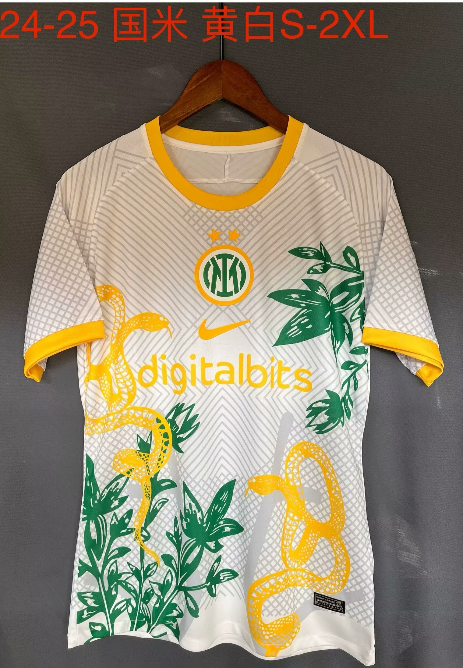24-25 Inter Milan Special Soccer Jerseys Yupoo