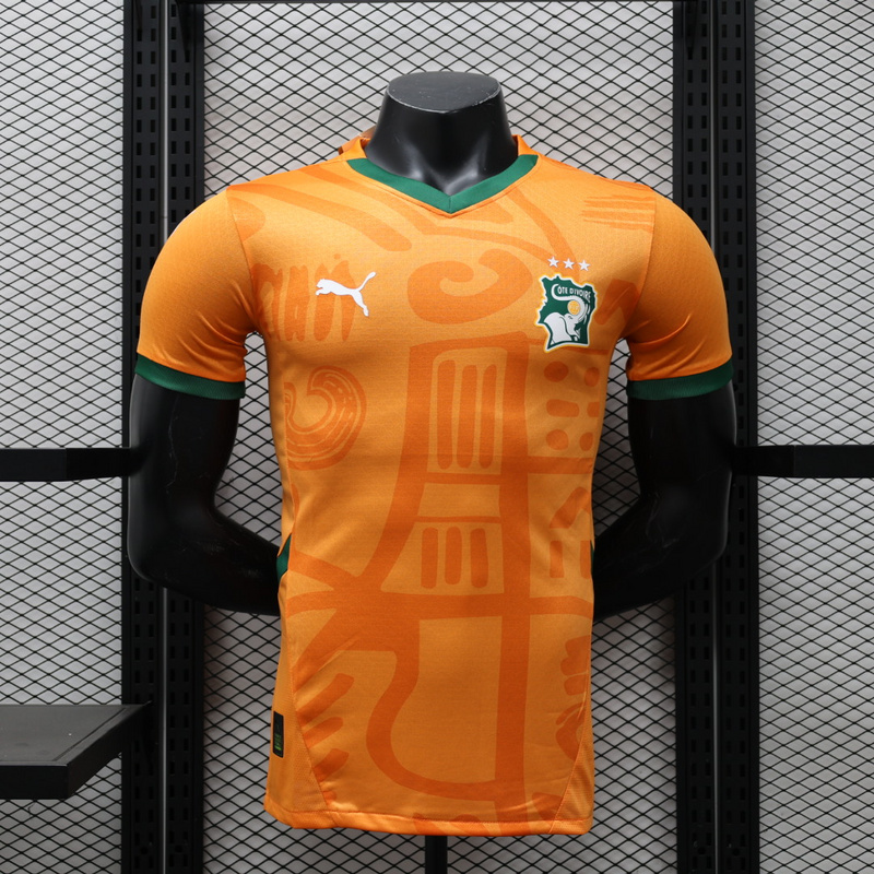 2024 Cote d'Ivoire Home Player Version Soccer Jerseys Yupoo