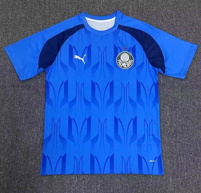 24-25 Palmeiras Training Soccer Jerseys Yupoo