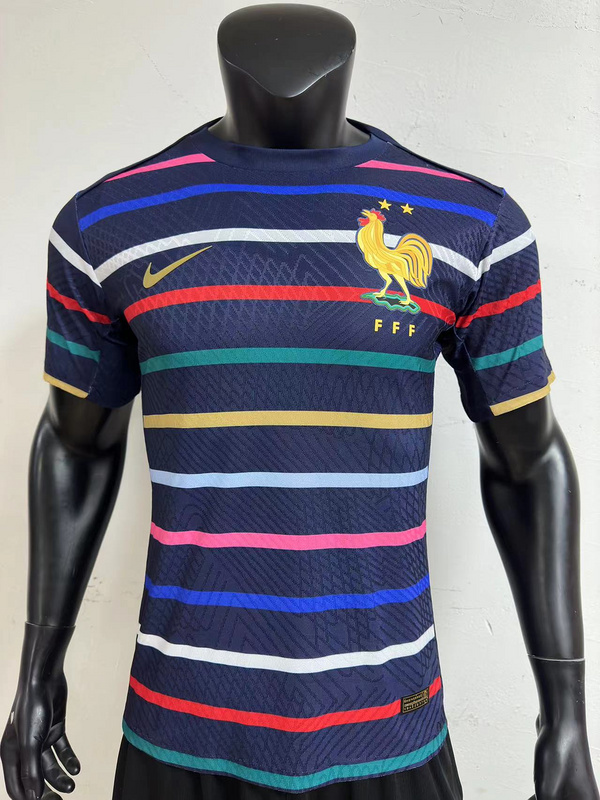 2024 France Training Player Version Soccer Jerseys Yupoo
