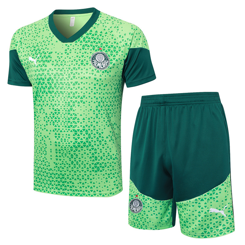 24-25 Palmeiras Training Soccer Jerseys Yupoo