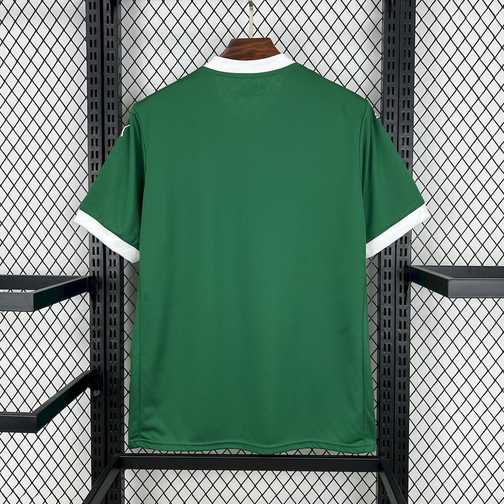 25-26 Palmeiras Home Kit Soccer T-Shirt AAAAJersey Dropship Yupoo 2