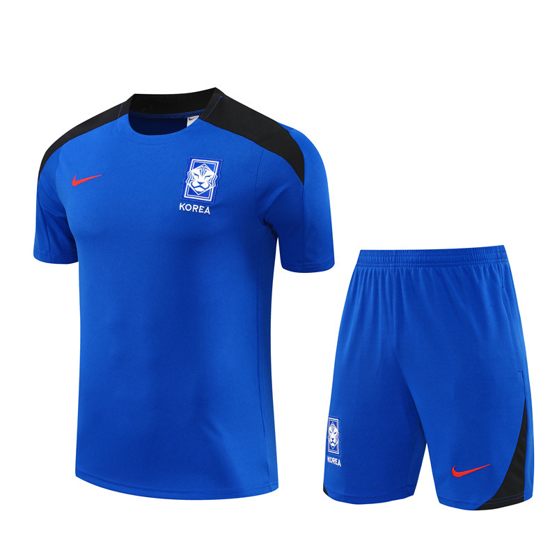 2024 South Korea Training Soccer Jerseys Football Shirts