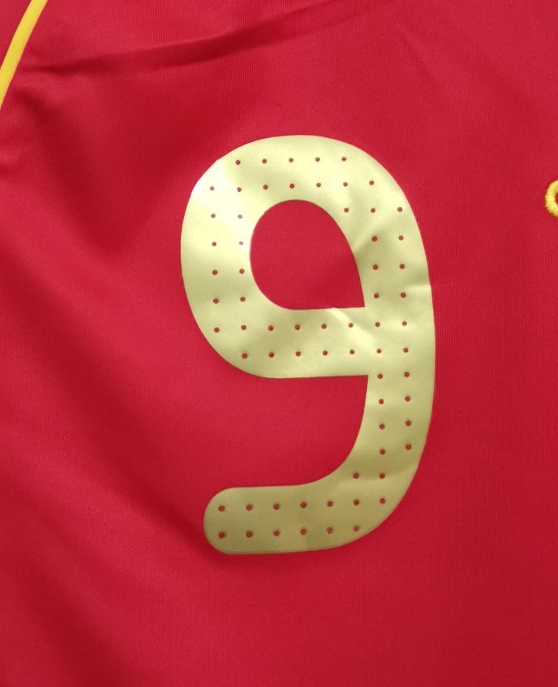 2008 Spain home 9