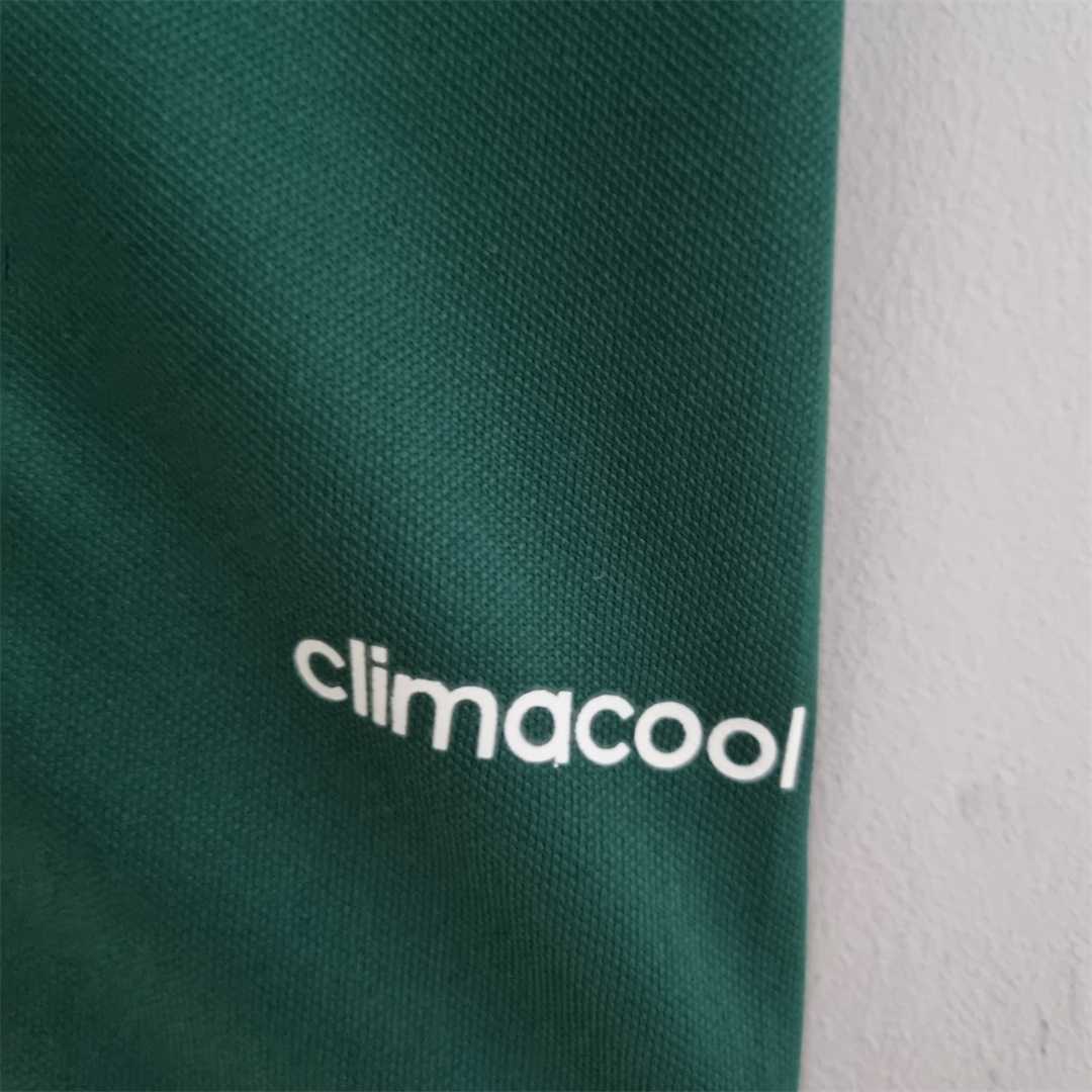 14-15 Palmeiras home 2