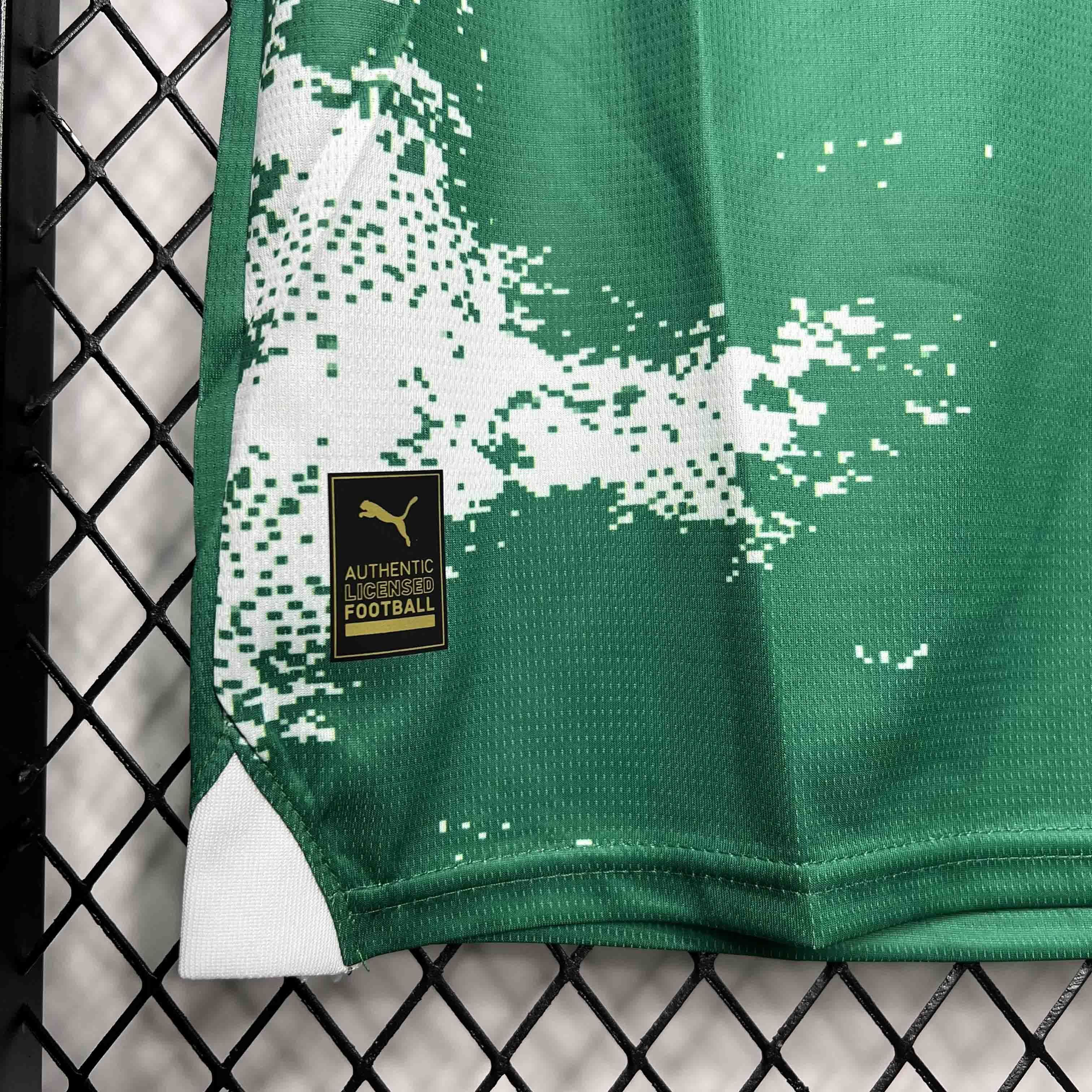 24-25 Palmeiras For a Greener Future Special Edition Kit AAAAJersey Supplier Yupoo 2
