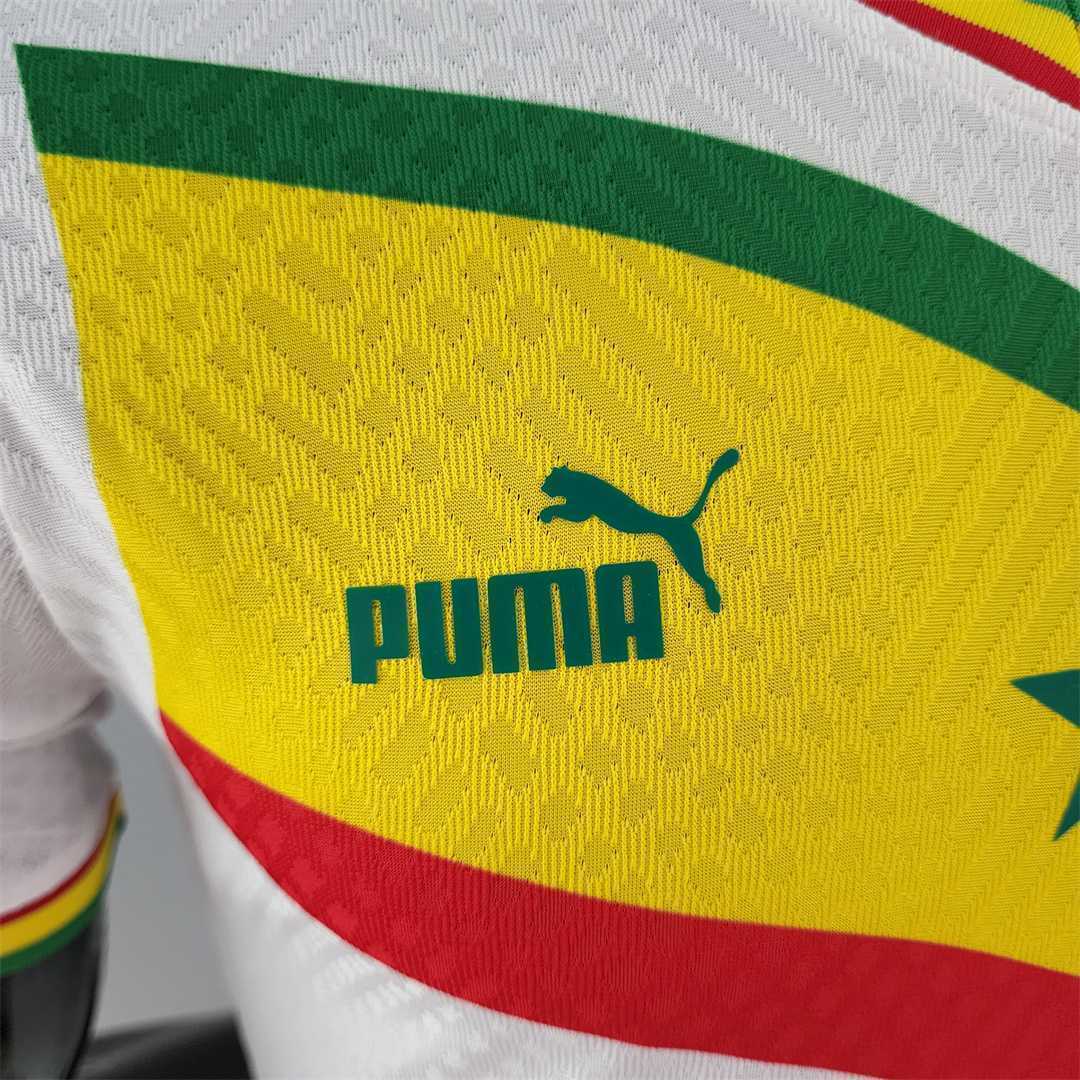 2022 Senegal home player version 8