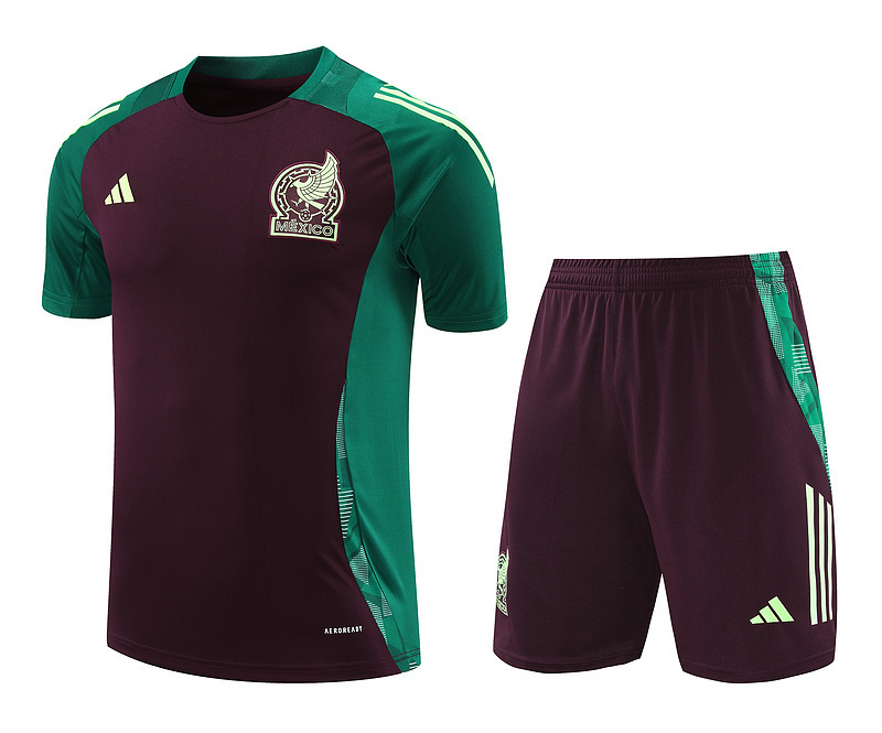 2024 Mexico Training Soccer Jerseys Football Shirts