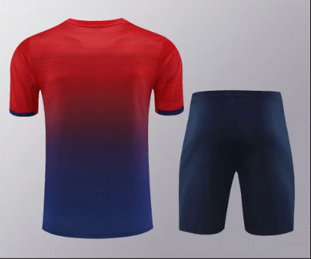 24-25 PSG Training Soccer Jerseys Football Shirts 1