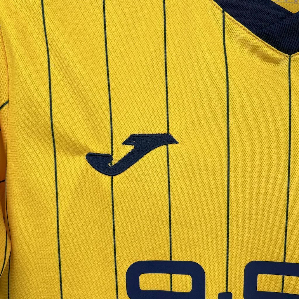 25-26 Hellas Verona 120th Anniversary Edition Football T-Shirt AAAAJersey Supply Yupoo 4