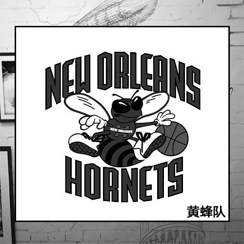 Charlotte Hornets