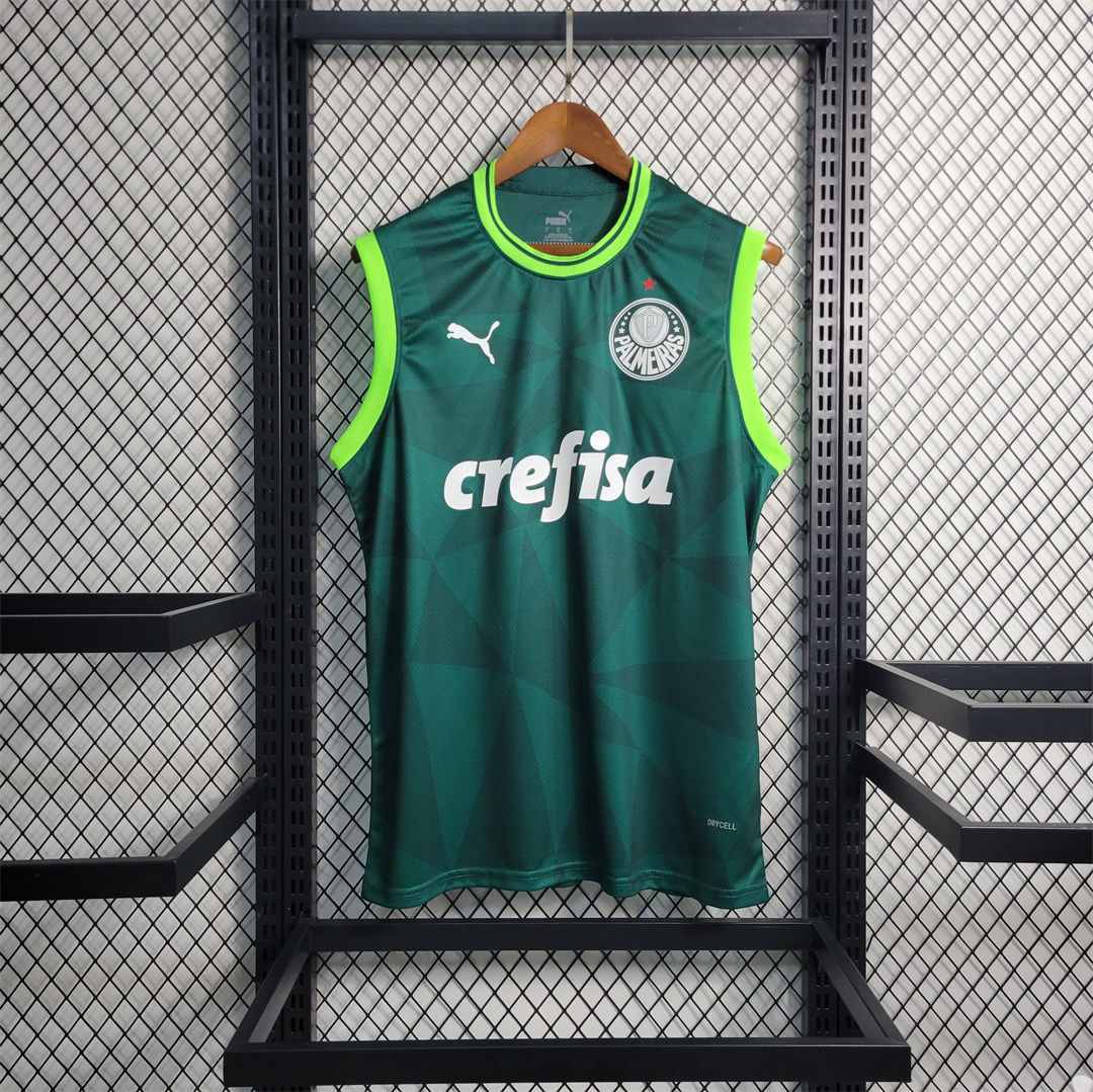 23-24 Palmeiras home tank