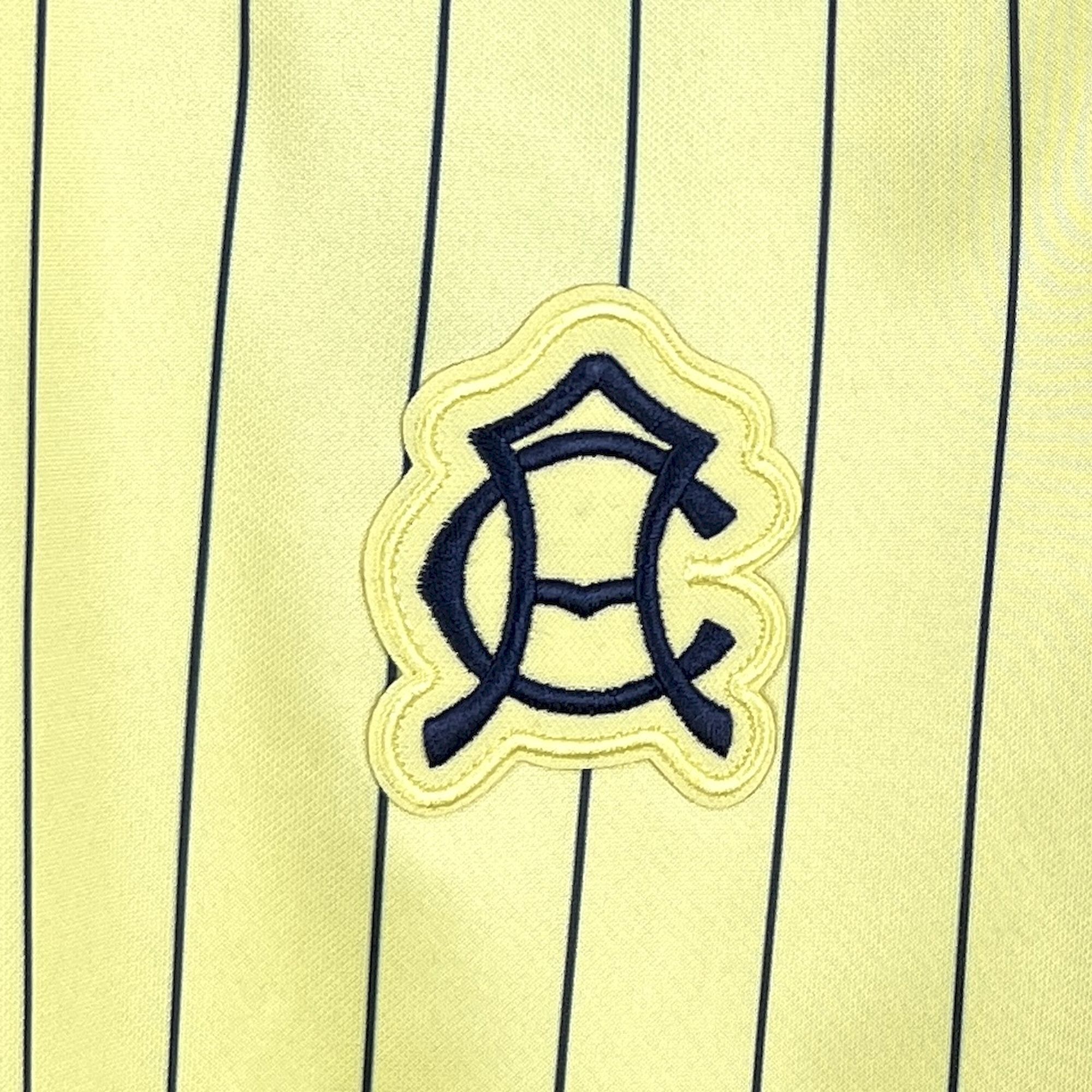 25-26 Club America Terrace Icons Soccer T-Shirt AAAAJersey Dropship Yupoo 4