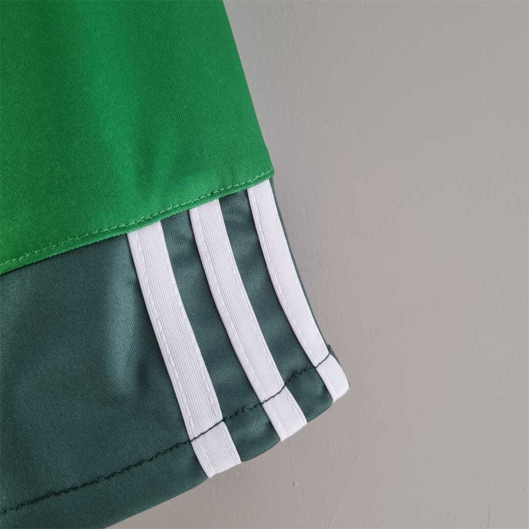 10-11 Palmeiras home 3