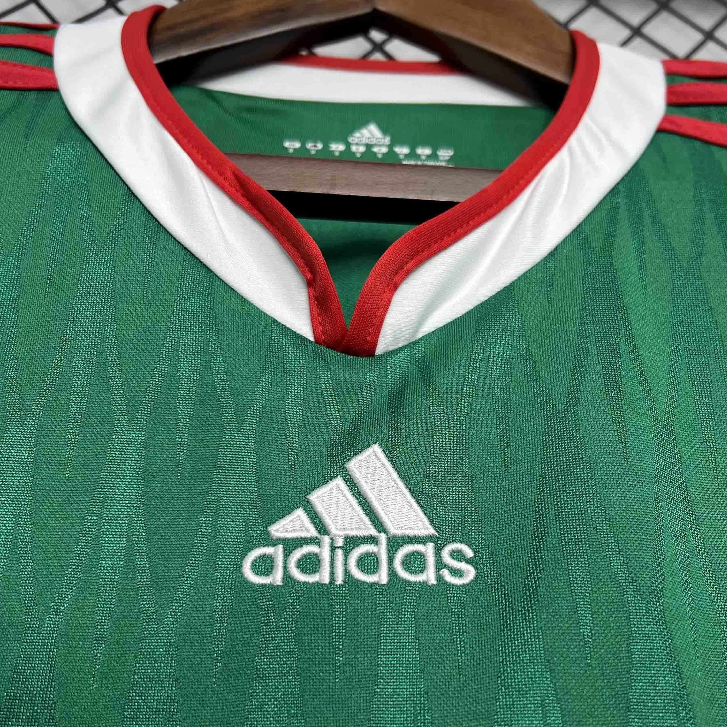 2010 Mexico home 6
