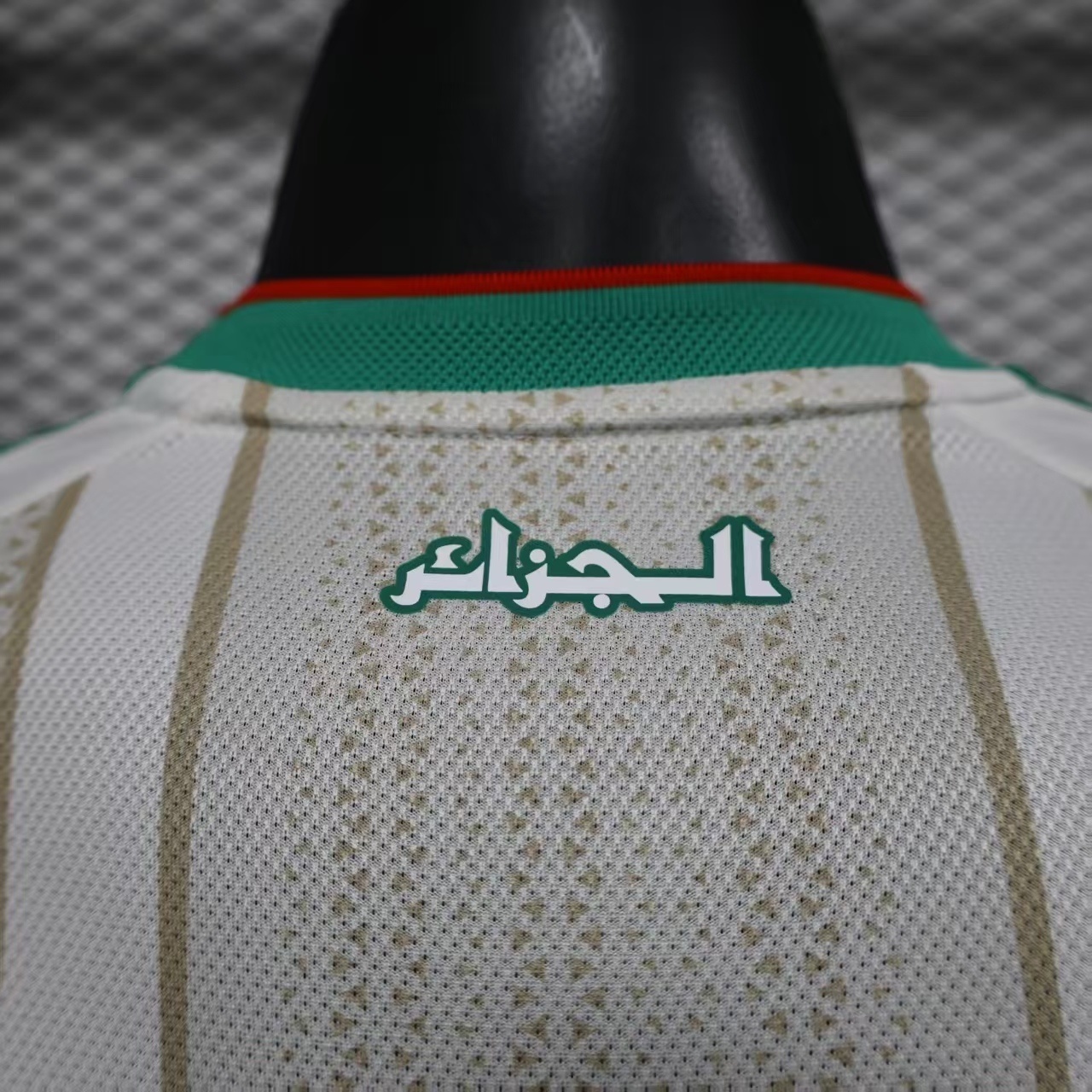 2026 World Cup Algeria Home Kit Football player version T-Shirt AAAAJersey Supply Yupoo 8