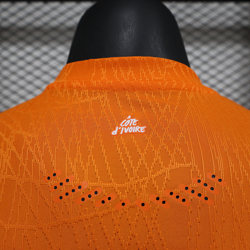 2025 Cote d'Ivoire Home Kit Player Version Football T-Shirt Sport ete AAAAJersey Supply Yupoo 1