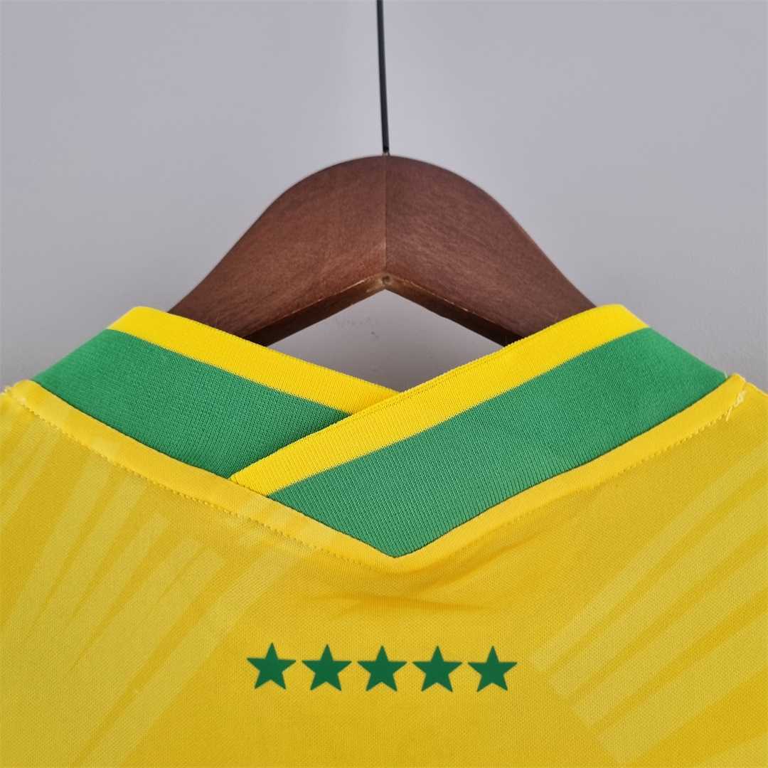2022 Brazil classic yellow 7