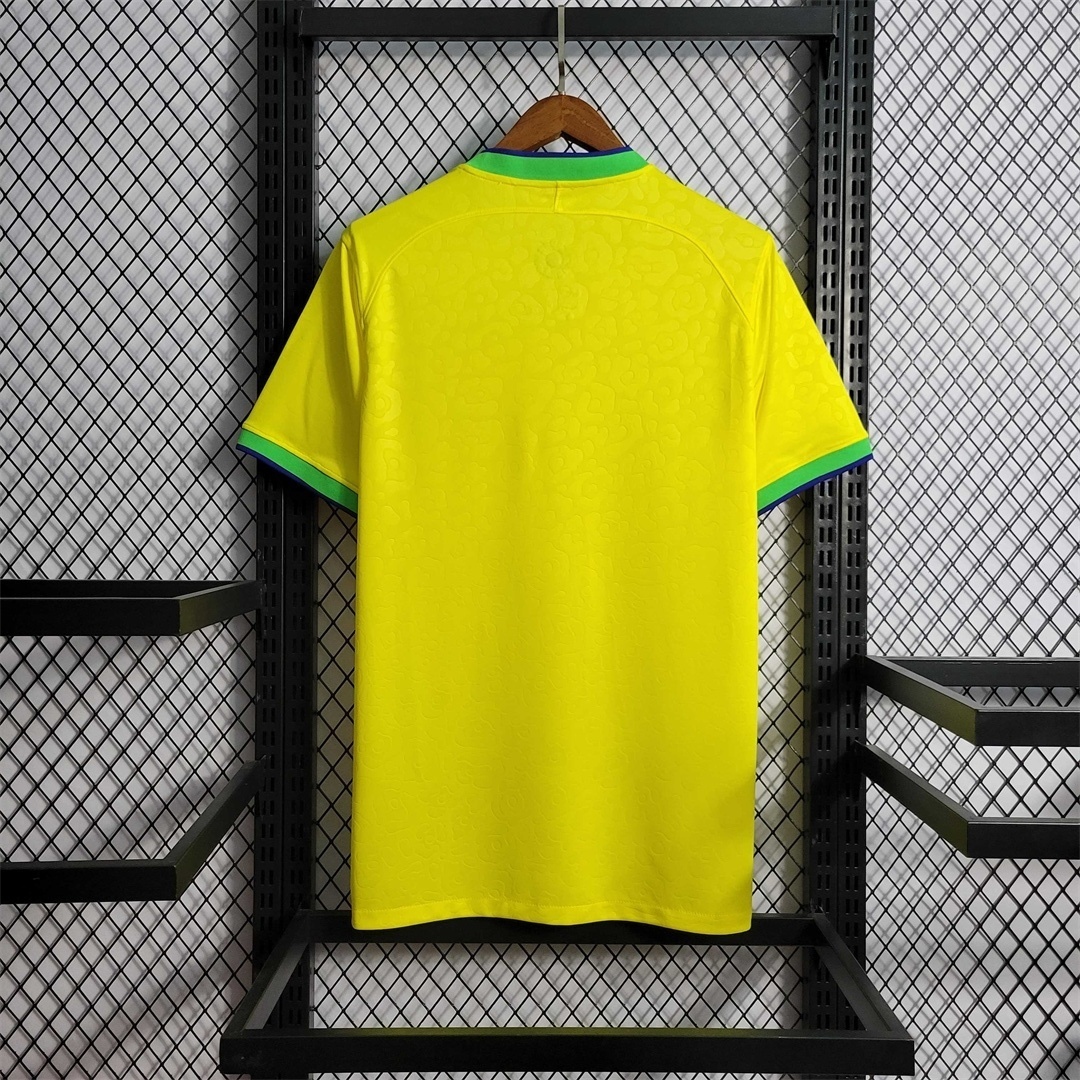 2022 Brazil home 17