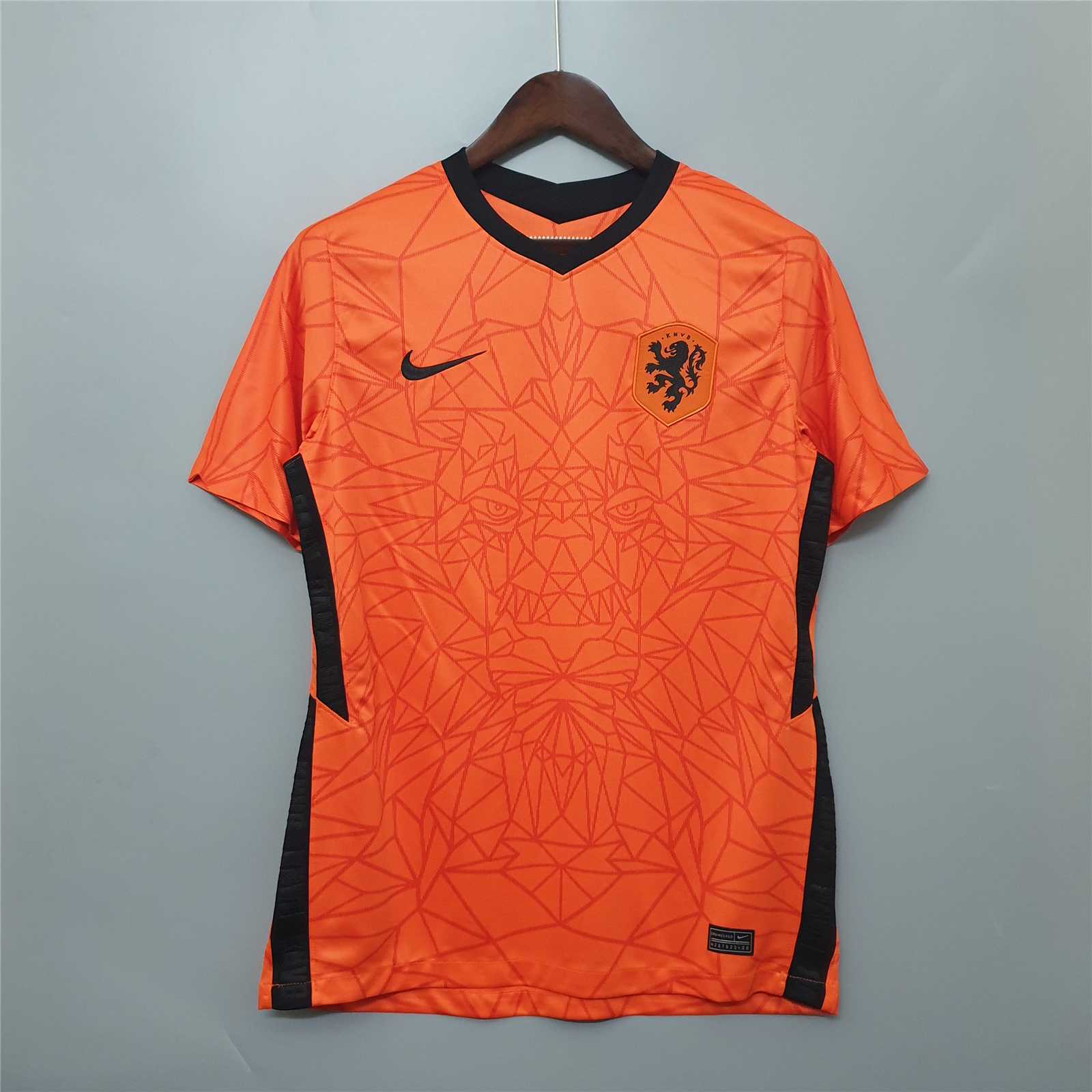 2020 Netherlands home 11