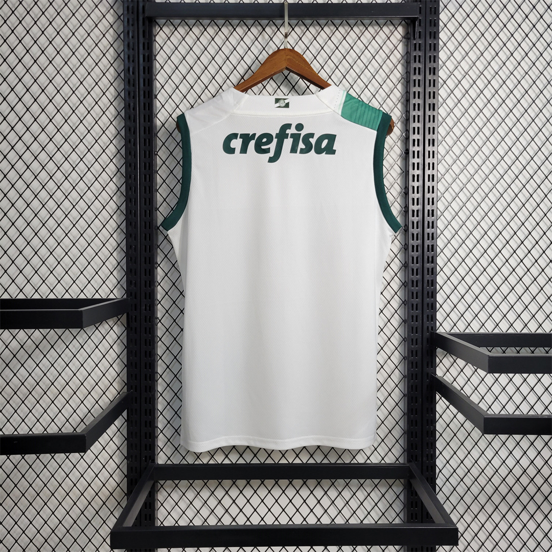 23-24 Palmeiras away tank 9