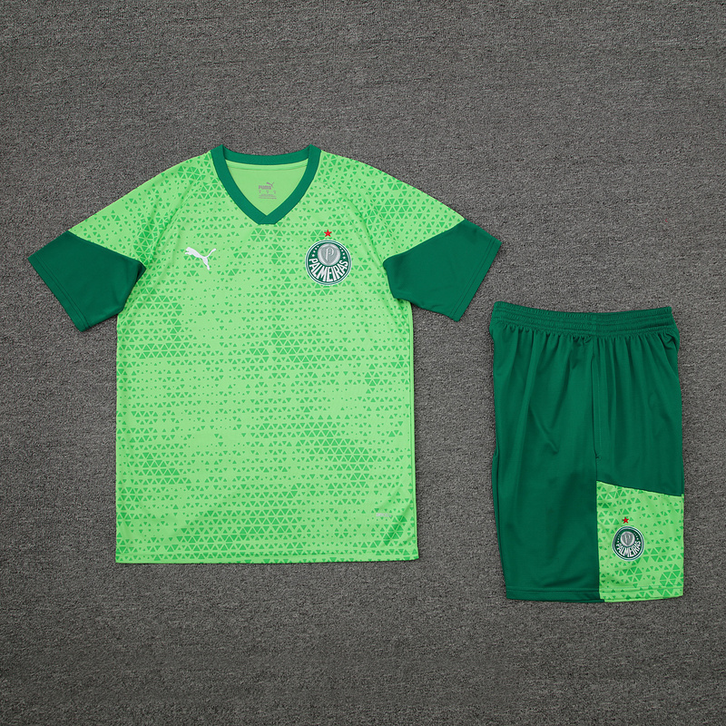 24-25 Palmeiras Training Soccer Jerseys Football Shirts 1