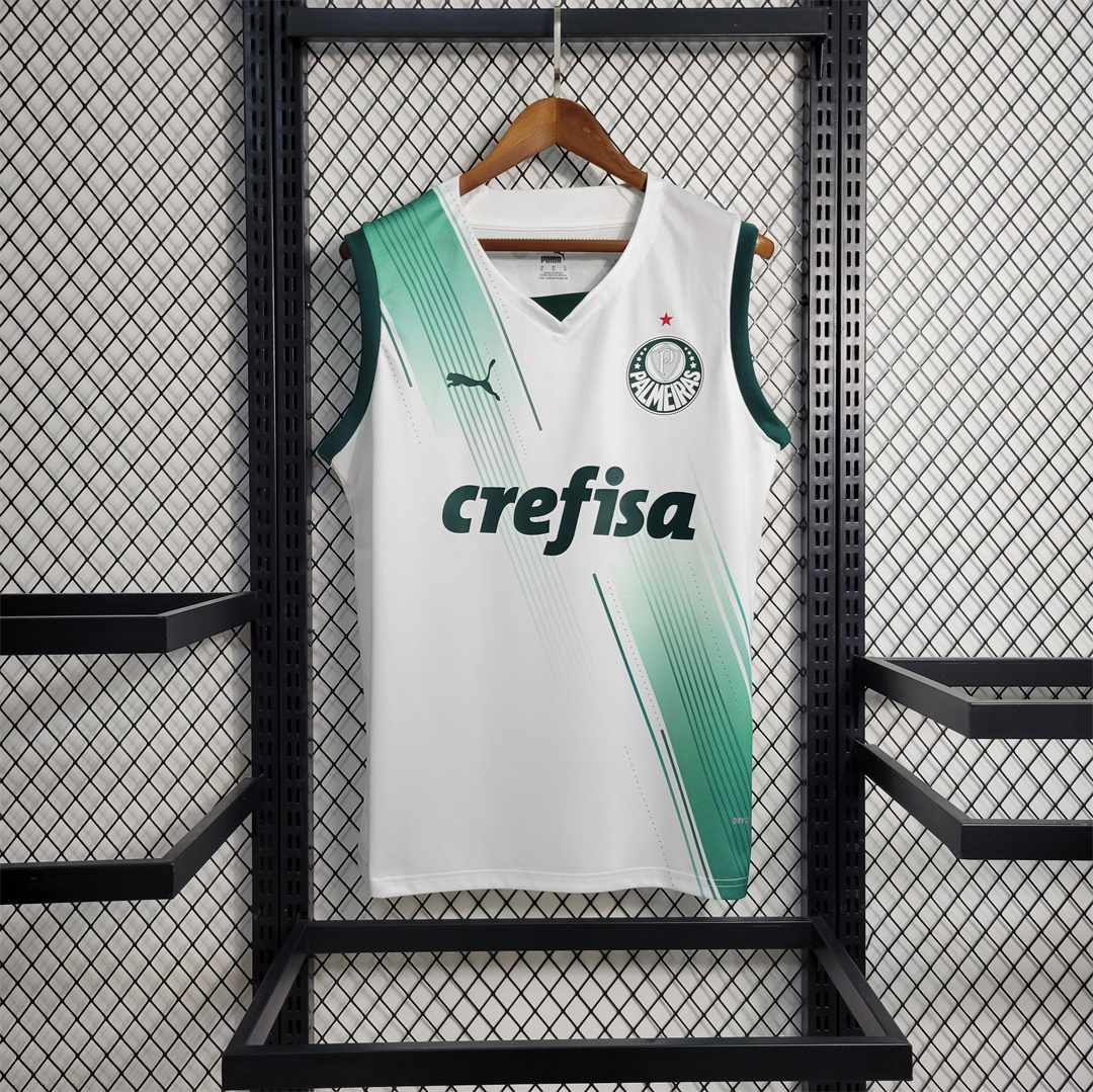 23-24 Palmeiras away tank
