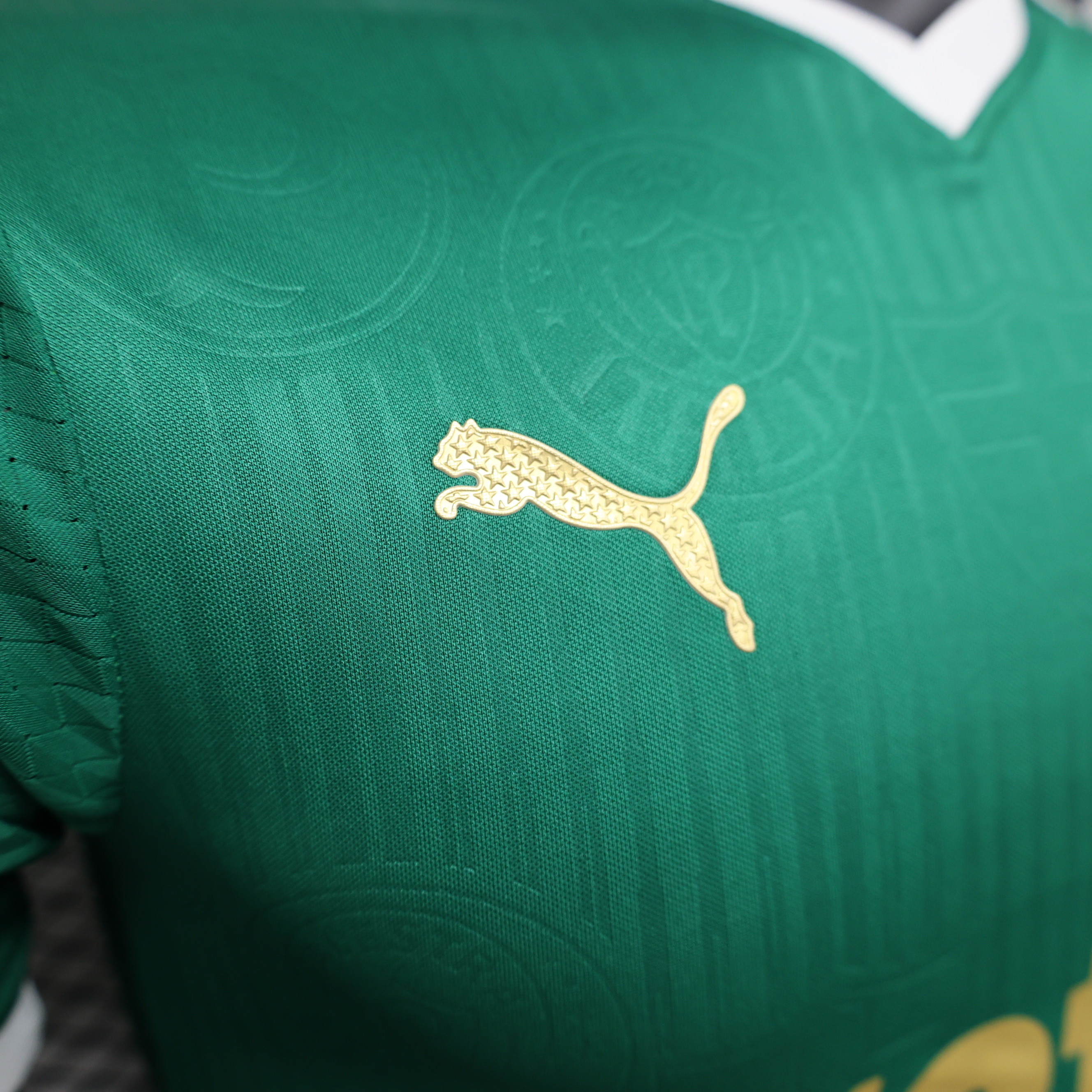 24-25 Palmeiras Home Kit Player Version Shirt Best Jerseys Yupoo 1