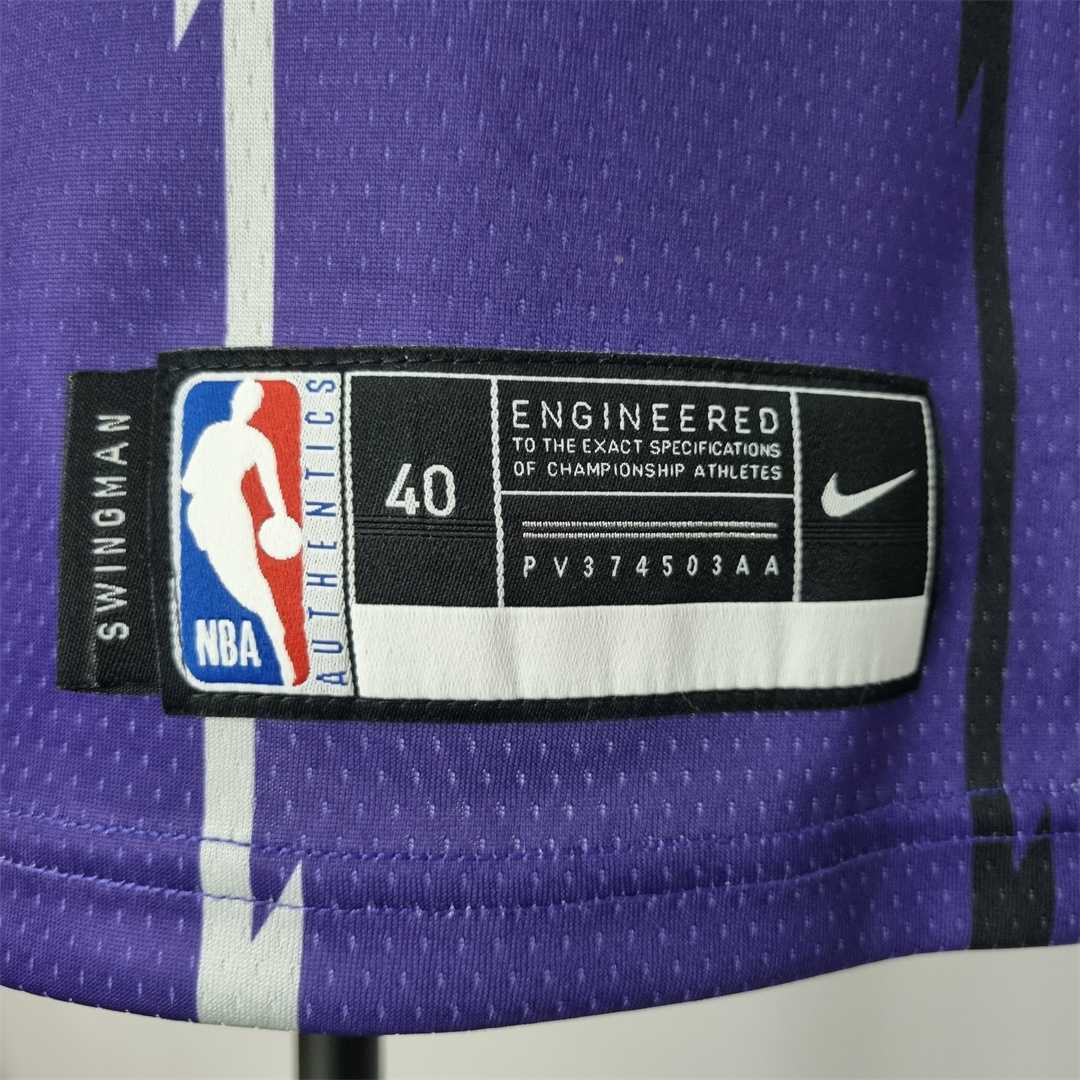 Toronto Raptors SIAKAM #43 Purple NBA Jersey 2