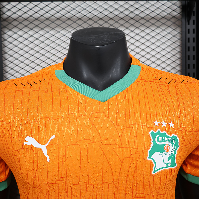 2025 Cote d'Ivoire Home Kit Player Version Football T-Shirt Sport ete AAAAJersey Supply Yupoo 5