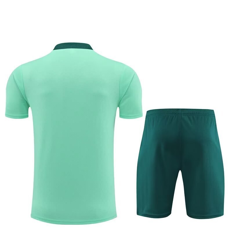 24-25 Tottenham Training Soccer Jerseys Football Shirts 2