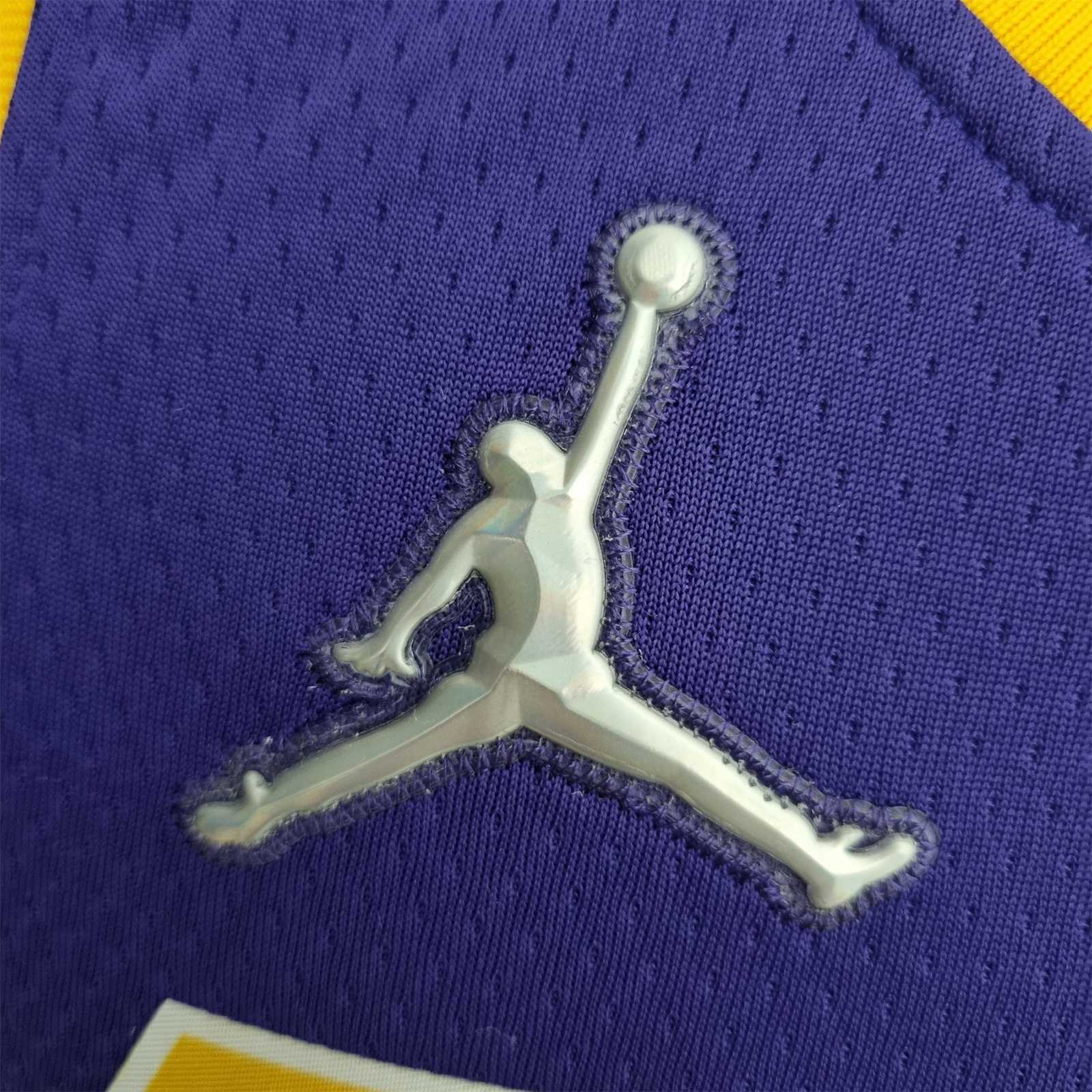 75th Anniversary James #6 Los Angeles Lakers Jordan Purple NBA Jersey 1
